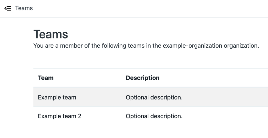 Example team profile