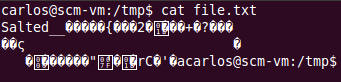 Figure 14. Encrypted file cat example