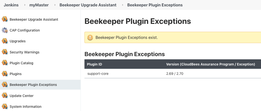 Beekeeper plugin exceptions