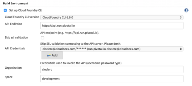 cloudfoundry job config