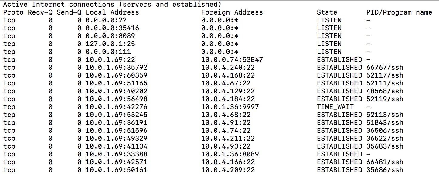 netstat output