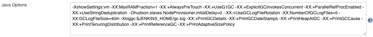 Java Options example