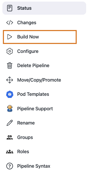 Click *Build Now* to run the Pipeline