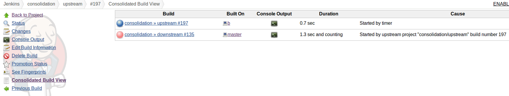 Figure 2. Showing the consolidated build view