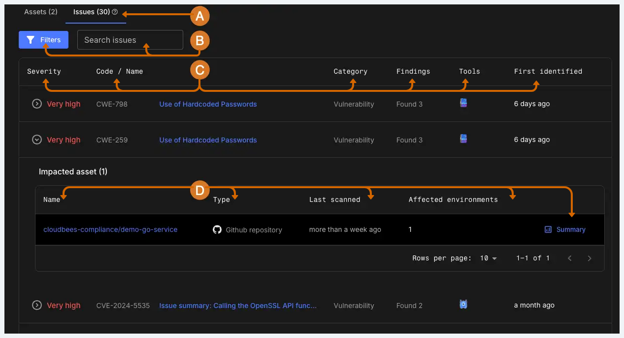 Security issue details