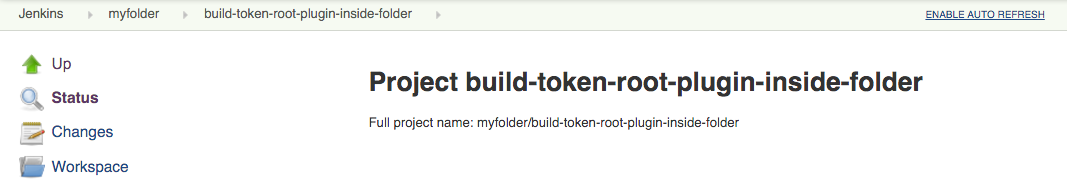 build token root plugin full project name